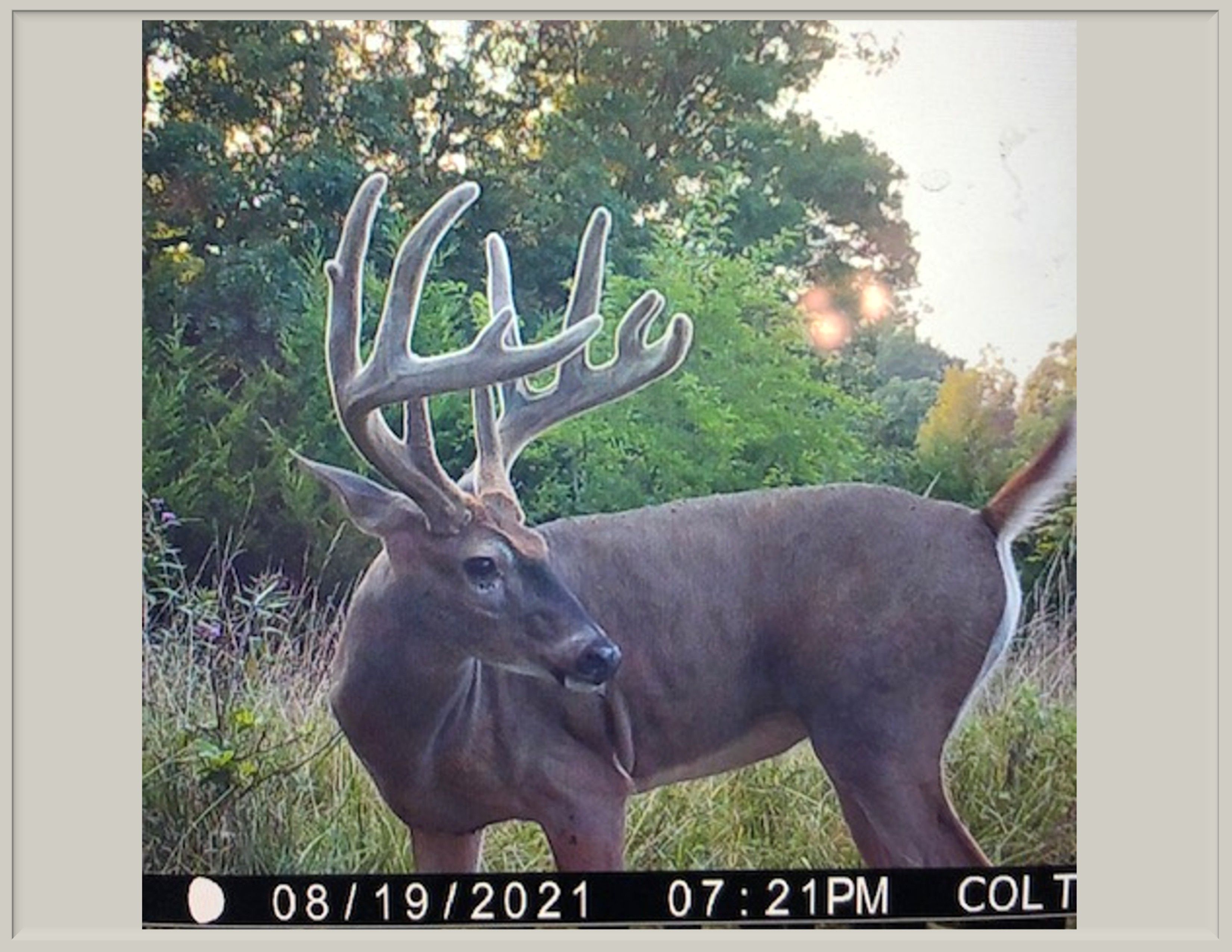 Listing Photo: 18661-IMG_2899 (4)